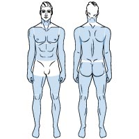 全身(顔・VIO除く)