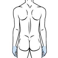 手の指・手の甲